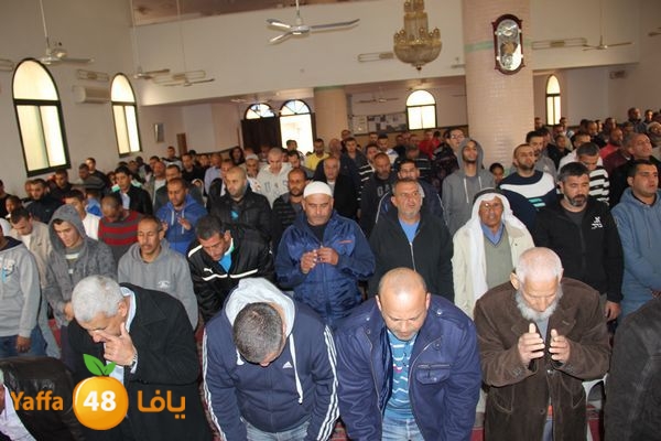 jarhoshuy msajed 0110 (13).JPG